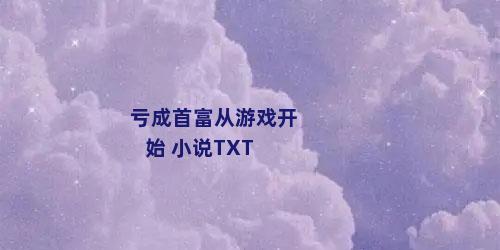 亏成首富从游戏开始 小说TXT